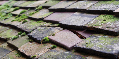Ffynnon roof repair costs